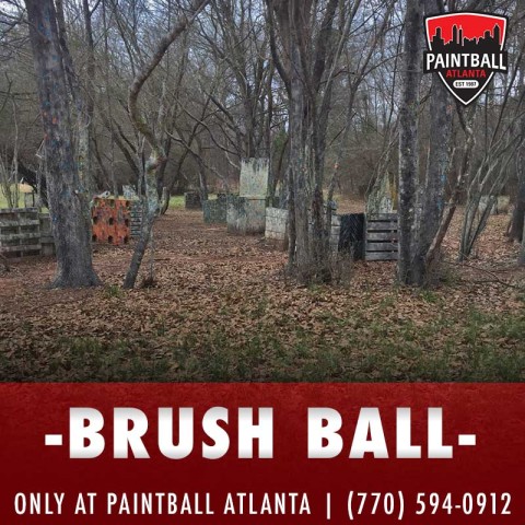 BRUSH BALL – Paintball Atlanta